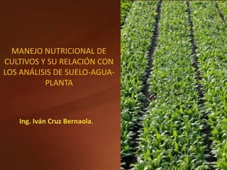 MANEJO NUTRICIONAL DE
CULTIVOS Y SU RELACIÓN CON
LOS ANÁLISIS DE SUELO-AGUA-
PLANTA
Ing. Iván Cruz Bernaola.
 