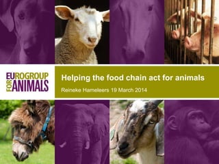 Reineke Hameleers 19 March 2014
Helping the food chain act for animals
 