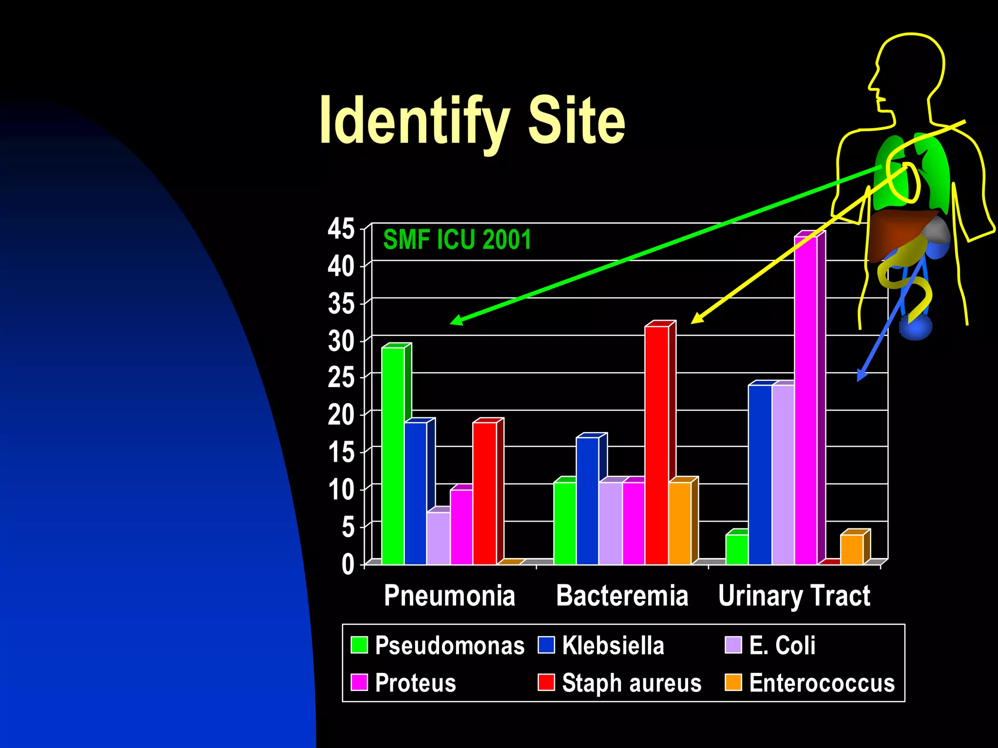 Identify Site
SMF ICU 2001
0
5
10
15
20
25
30
35
40
45
Pneumonia Bacteremia Urinary Tract
Pseudomonas Klebsiella E. Coli
Proteus Staph aureus Enterococcus
 