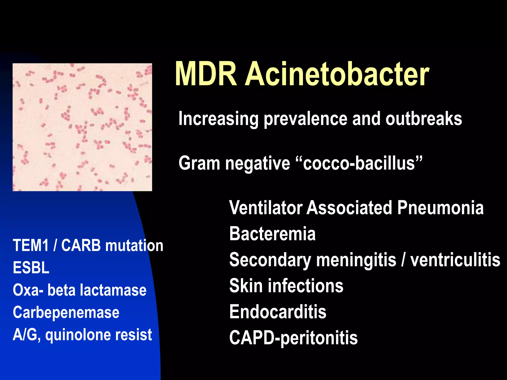 MDR Acinetobacter
Increasing prevalence and outbreaks
Gram negative “cocco-bacillus”
Ventilator Associated Pneumonia
Bacteremia
Secondary meningitis / ventriculitis
Skin infections
Endocarditis
CAPD-peritonitis
TEM1 / CARB mutation
ESBL
Oxa- beta lactamase
Carbepenemase
A/G, quinolone resist
 