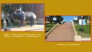 “BRUIN”小熊是加州大学洛杉矶分校的吉祥物，不包括
上面的女生，可能是骑熊难下吧，只好把她也照进去了。
远处好像是几个毕业前留影的学生
 