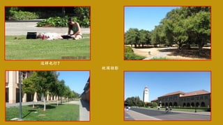 这样也行？
校园掠影
 