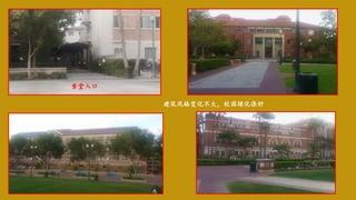 食堂入口
建筑风格变化不大，校园绿化很好
 