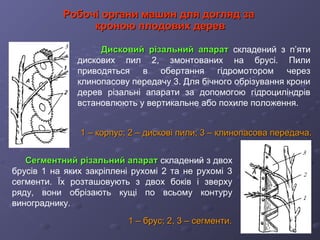 Дисковий різальний апаратДисковий різальний апарат складений з п’яти
дискових пил 2, змонтованих на брусі. Пили
приводяться в обертання гідромотором через
клинопасову передачу 3. Для бічного обрізування крони
дерев різальні апарати за допомогою гідроциліндрів
встановлюють у вертикальне або похиле положення.
1 – корпус; 2 – дискові пили; 3 – клинопасова передача.1 – корпус; 2 – дискові пили; 3 – клинопасова передача.
Робочі органи машин для догляд заРобочі органи машин для догляд за
кроною плодових деревкроною плодових дерев
Сегментний різальний апаратСегментний різальний апарат складений з двох
брусів 1 на яких закріплені рухомі 2 та не рухомі 3
сегменти. Їх розташовують з двох боків і зверху
ряду, вони обрізають кущі по всьому контуру
винограднику.
1 – брус; 2, 3 – сегменти.1 – брус; 2, 3 – сегменти.
 
