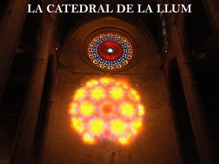 LA CATEDRAL DE LA LLUM
 