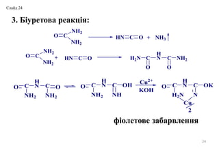 24
3. Біуретова реакція:
CO
NH2
NH2
HN C O NH3
HN C OCO
NH2
NH2
H2N C
O
H
N C
O
NH2
+
+
O C
NH2
H
N C
NH
OHO C
NH2
H
N C
NH2
O
KOH
Cu2+
O C
H2N
H
N C
N
OK
Cu
2
фіолетове забарвлення
Слайд 24
 