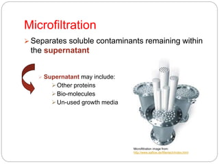 Microfiltration
 Separates soluble contaminants remaining within
the supernatant
 Supernatant may include:
Other proteins
Bio-molecules
Un-used growth media
Microfiltration image from:
http://www.aaflow.de/filtertech/index.html
 