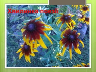 Хвилинка поезії
 