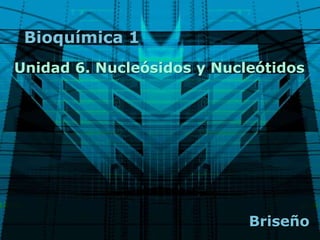 Bioquímica 1
Unidad 6. Nucleósidos y Nucleótidos
Briseño
 