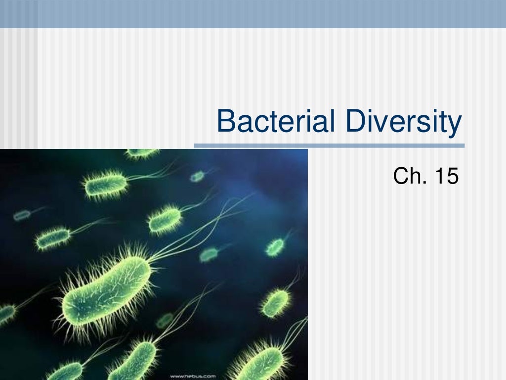 AP Biology Genetic Diversity and Operons in bacteria