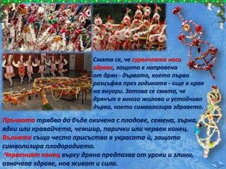 Смята се, че сурвачката носи
здраве, защото е направена
от дрян - дървото, което първо
разцъфва през годината - още в края
на януари. Затова се смята, че
дрянът е много жилаво и устойчиво
дърво, което символизира здравето.
Пръчката трябва да бъде окичена с плодове, семена, зърна,
ядки или кравайчета, чемшир, парички или червен конец.
Вълната също често присъства в украсата ѝ, защото
символизира плодородието.
Червеният конец върху дряна предпазва от уроки и злини,
означава здраве, нов живот и сила.
 