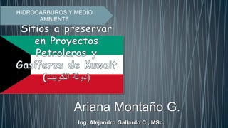 HIDROCARBUROS Y MEDIO
AMBIENTE
Ariana Montaño G.
Ing. Alejandro Gallardo C., MSc.
 