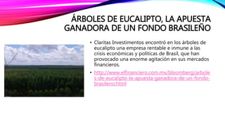 ÁRBOLES DE EUCALIPTO, LA APUESTA
GANADORA DE UN FONDO BRASILEÑO
• Claritas Investimentos encontró en los árboles de
eucalipto una empresa rentable e inmune a las
crisis económicas y políticas de Brasil, que han
provocado una enorme agitación en sus mercados
financieros.
• http://www.elfinanciero.com.mx/bloomberg/arbole
s-de-eucalipto-la-apuesta-ganadora-de-un-fondo-
brasileno.html
 