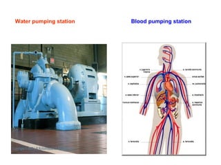 Water pumping station Blood pumping station