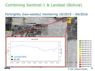 Combining Sentinel-1 & Landsat (Bolivia)
Fortnightly (two-weekly) monitoring 10/2015 – 04/2016
Landsat NDVI
S1 VV
18Credit: Johannes Reiche
 