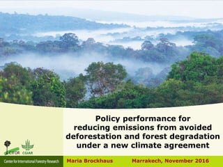 Policy performance for
reducing emissions from avoided
deforestation and forest degradation
under a new climate agreement
Maria Brockhaus Marrakech, November 2016
 