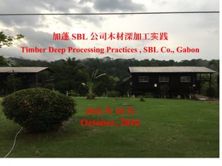 加蓬 SBL 公司木材深加工 践实
Timber Deep Processing Practices , SBL Co., Gabon
2016 年 10 月
October, 2016
 