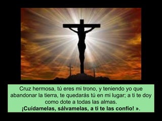Cruz hermosa, tú eres mi trono, y teniendo yo que
abandonar la tierra, te quedarás tú en mi lugar; a ti te doy
como dote a todas las almas.
¡Cuídamelas, sálvamelas, a ti te las confío! ».
 