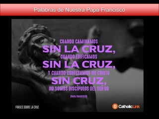 Palabras de Nuestra Papa Francisco
 
