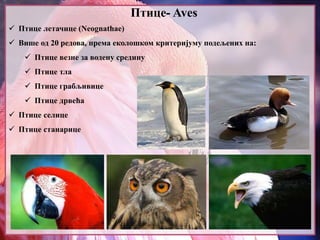 Птице- Aves
 Птице летачице (Neognathae)
 Више од 20 редова, према еколошком критеријуму подељених на:
 Птице везне за водену средину
 Птице тла
 Птице грабљивице
 Птице дрвећа
 Птице селице
 Птице станарице
 