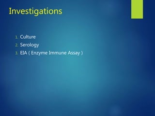 Investigations
1. Culture
2. Serology
3. EIA ( Enzyme Immune Assay )
 