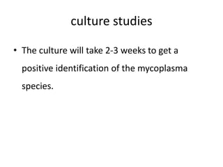 culture studies
• The culture will take 2-3 weeks to get a
positive identification of the mycoplasma
species.
 