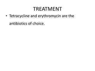 TREATMENT
• Tetracycline and erythromycin are the
antibiotics of choice.
 