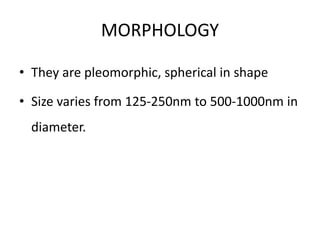 MORPHOLOGY
• They are pleomorphic, spherical in shape
• Size varies from 125-250nm to 500-1000nm in
diameter.
 