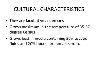 CULTURAL CHARACTERISTICS
• They are facultative anaerobes
• Grows maximum in the temperature of 35-37
degree Celsius
• Grows best in media containing 30% ascetic
fluids and 20% hourse or human serum.
 