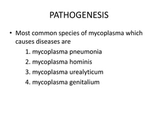PATHOGENESIS
• Most common species of mycoplasma which
causes diseases are
1. mycoplasma pneumonia
2. mycoplasma hominis
3. mycoplasma urealyticum
4. mycoplasma genitalium
 