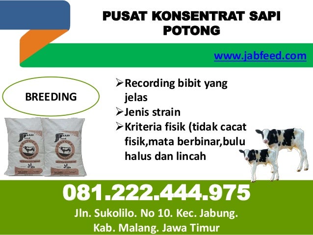 Pusat Konsentrat Sapi Di Bojonegoro