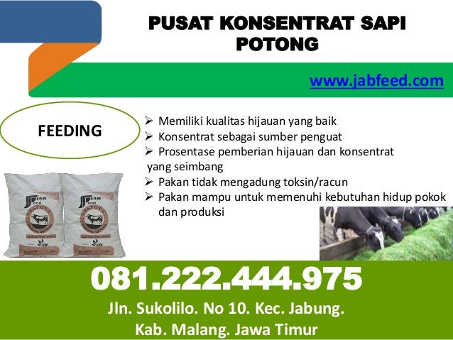 Pusat Konsentrat Sapi Di Bojonegoro