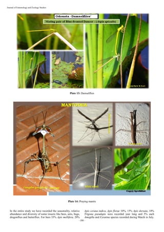 Thanthirimalaya Insect Insect diversity of Sri Lankamalleswara Reserve forest in the Eastern ...