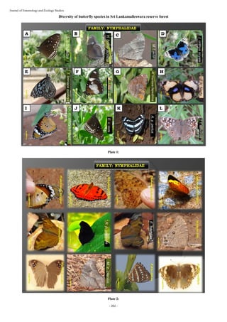 Insect diversity of Sri Lankamalleswara Reserve forest in the Eastern ...