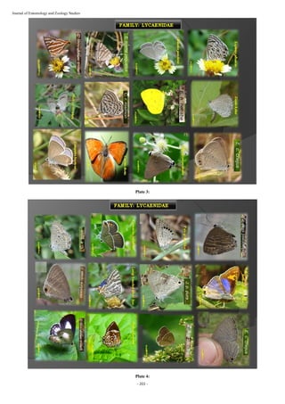 Insect diversity of Sri Lankamalleswara Reserve forest in the Eastern ...