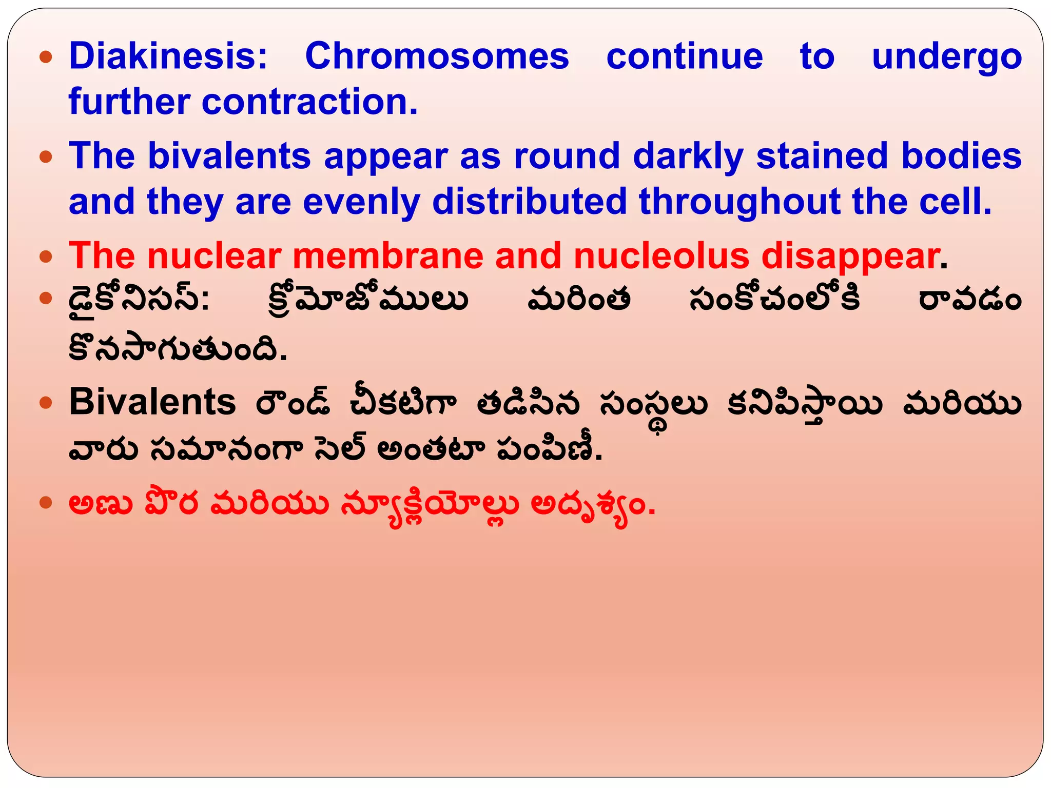  Diakinesis: Chromosomes continue to undergo
further contraction.
 The bivalents appear as round darkly stained bodies
and they are evenly distributed throughout the cell.
 The nuclear membrane and nucleolus disappear.
 డకోన్నసస్: కోీమోజోములు మర్ింత్ సింకోచింలోకర ర్ావడిం
కొనస్ాగుత్ ింది.
 Bivalents ర్ ిండ్ చీకటిగా త్డిసిన సింసథలు కన్నపిస్ాి యి మర్యు
వ్ారు సమానింగా సల్ అింత్టా పింపిణీ.
 అణు ప్ర ర మర్యు నయయకరోయోలుో అదృశయిం.
 