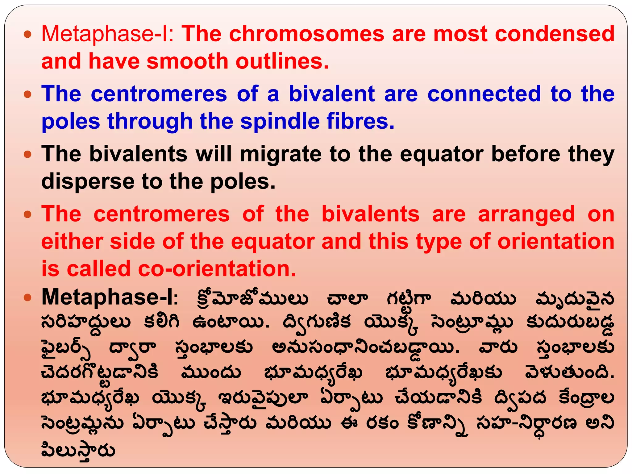  Metaphase-I: The chromosomes are most condensed
and have smooth outlines.
 The centromeres of a bivalent are connected to the
poles through the spindle fibres.
 The bivalents will migrate to the equator before they
disperse to the poles.
 The centromeres of the bivalents are arranged on
either side of the equator and this type of orientation
is called co-orientation.
 Metaphase-I: కోీ మోజోములు చాలా గటిటగా మర్యు మృద్వ్ెన
సర్హద్ద లు కలిగ ఉింటాయి. దిాగుణిక యొకి సింటరర ముో కుద్రుబడడ
ఫబర్్ దాార్ా సిింభాలకు అన్సింధాన్నించబడాడ యి. వ్ారు సిింభాలకు
చదరగొటటడాన్నకర ముింద్ భూమధ్యర్ఫఖ్ భూమధ్యర్ఫఖ్కు వ్ెళుత్ ింది.
భూమధ్యర్ఫఖ్ యొకి ఇరువ్ెపులా ఏర్ాపటు చేయడాన్నకర దిాపద కఫిందార ల
సింటరమో న్ ఏర్ాపటు చేస్ాి రు మర్యు ఈ రకిం కోణాన్ని సహ-న్నర్ాా రణ అన్న
పిలుస్ాి రు
 