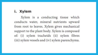 18. Pedagogy of Biological Science (Part II ) - Organisation of tissues