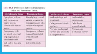 18. Pedagogy of Biological Science (Part II ) - Organisation of tissues