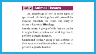 18. Pedagogy of Biological Science (Part II ) - Organisation of tissues