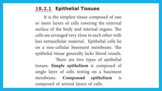 18. Pedagogy of Biological Science (Part II ) - Organisation of tissues