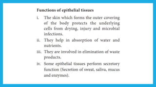 18. Pedagogy of Biological Science (Part II ) - Organisation of tissues