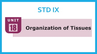STD IX
 