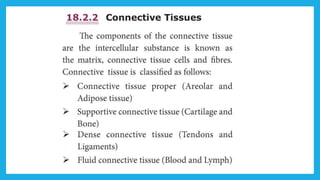 18. Pedagogy of Biological Science (Part II ) - Organisation of tissues