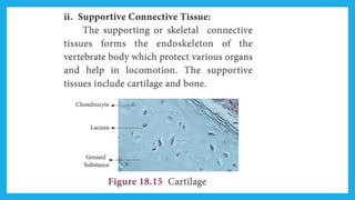 18. Pedagogy of Biological Science (Part II ) - Organisation of tissues