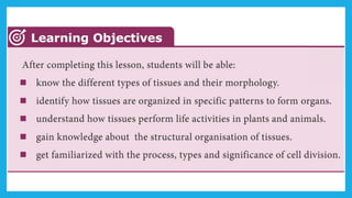 18. Pedagogy of Biological Science (Part II ) - Organisation of tissues