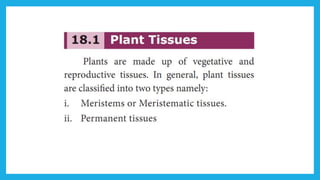 18. Pedagogy of Biological Science (Part II ) - Organisation of tissues