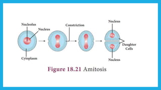 18. Pedagogy of Biological Science (Part II ) - Organisation of tissues