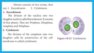 18. Pedagogy of Biological Science (Part II ) - Organisation of tissues