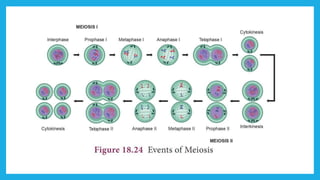 18. Pedagogy of Biological Science (Part II ) - Organisation of tissues